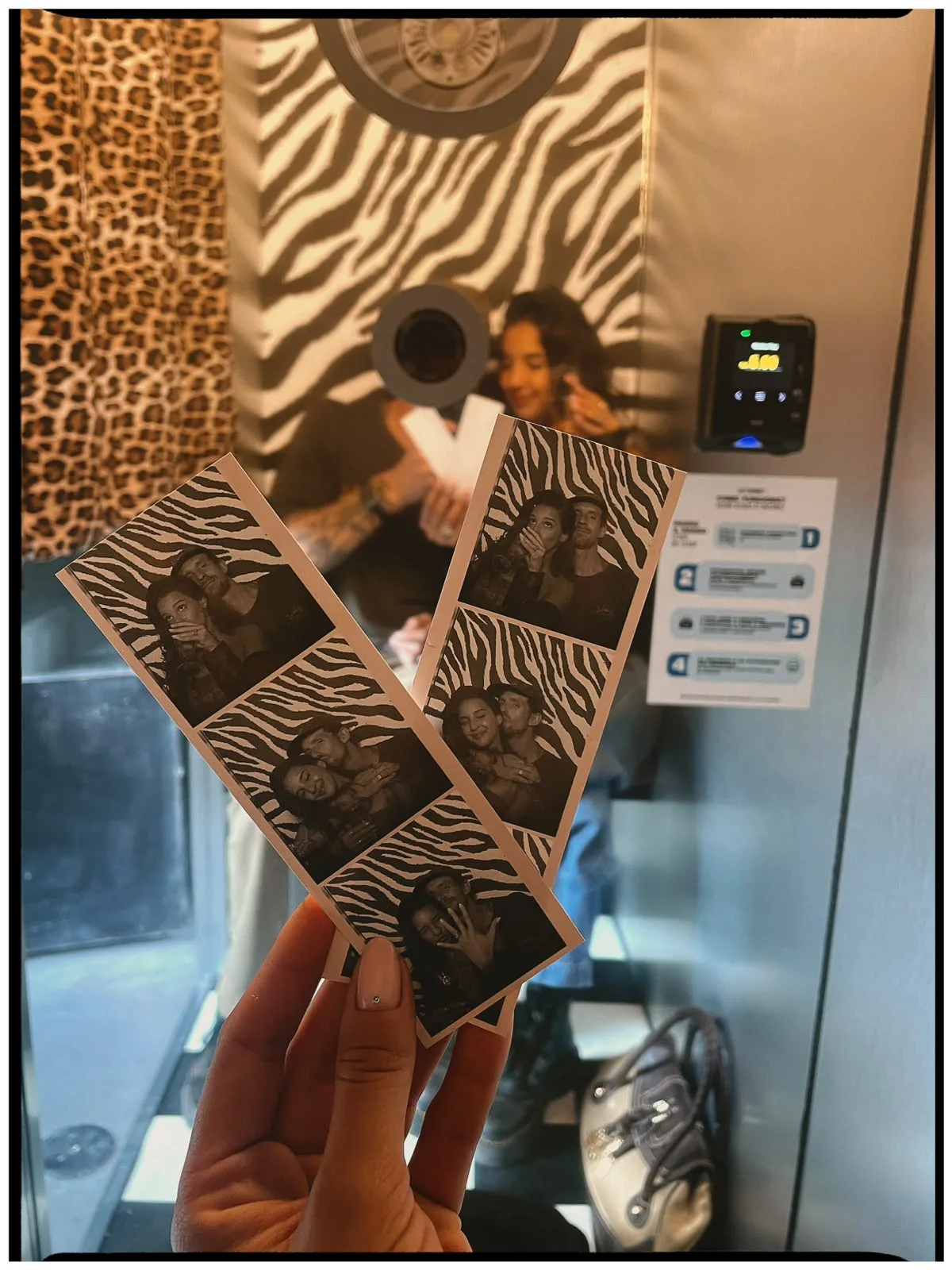 Zebra photo strips from The Mirror